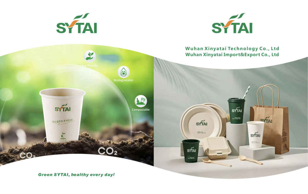 1.Paper cups and related products.pdf